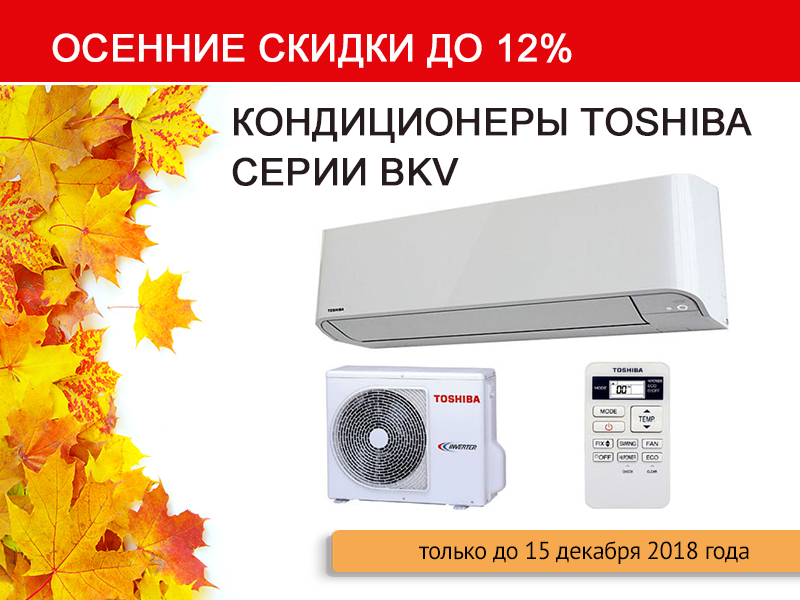 Скидка на сплит-системы Toshiba до 12%! Скидка на сплит-системы Toshiba до 12%!