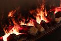 Электрический Очаг Royal Flame Design L1500RF 3D PS/LOG. Фото 7